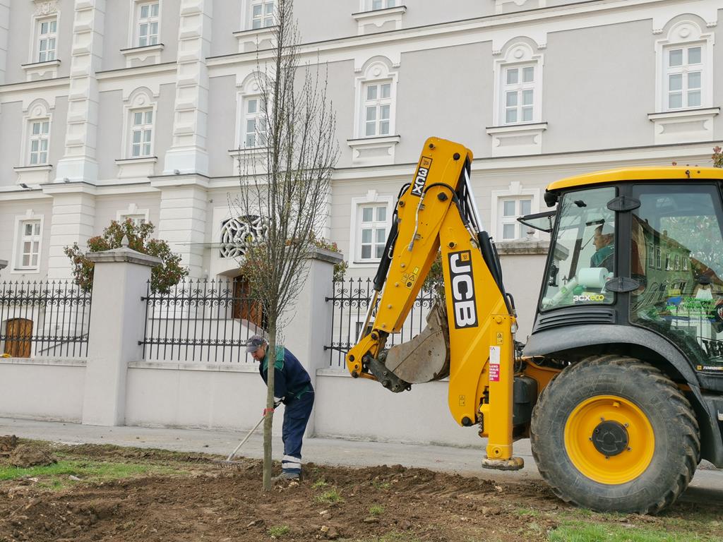 Zasađeno drveće ispred zgrade Požeške biskupije